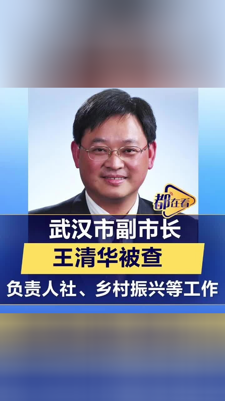 武汉市副市长王清华被查曾负责人社乡村振兴等工作