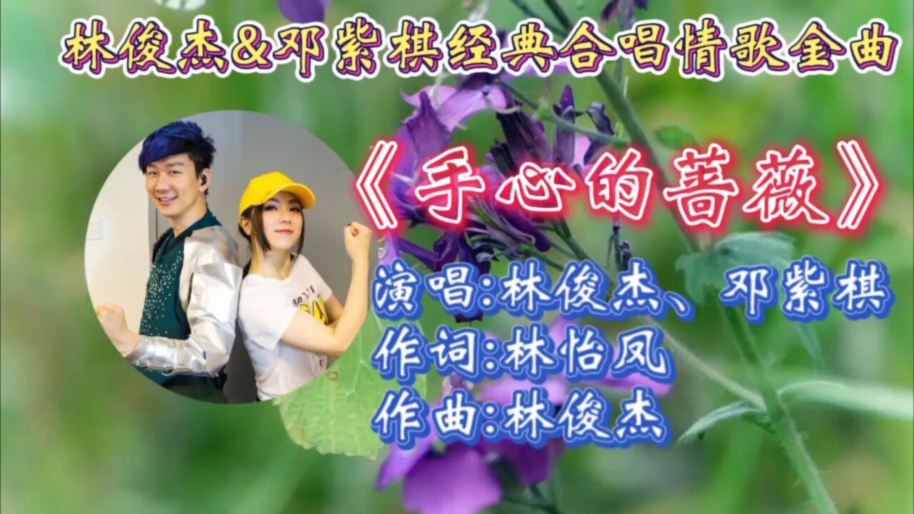 怀旧经典金曲《手心的蔷薇》林俊杰邓紫棋深情合唱,歌词走心悦耳,动听