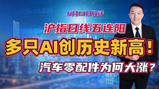 沪指日线五连阳,多只AI权重股创历史新高!汽车零配件为何大涨?