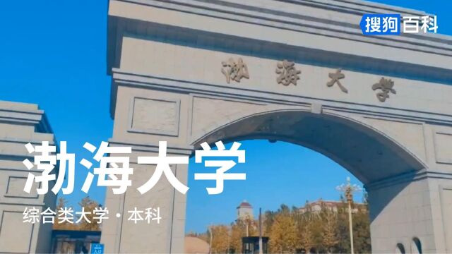 渤海大学:多学博见,和而不同