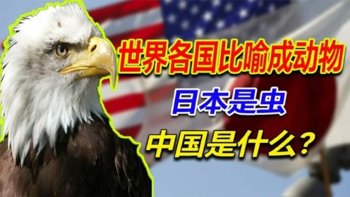 世界各国比喻成动物，美国是鹰，日本是虫，中国是什么？