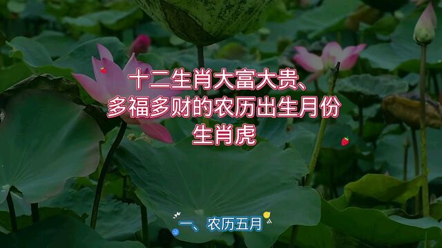 十二生肖大富大贵、多福多财的农历出生月份之生肖虎