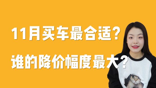 11月份才是买车的好时机?哪些车型降价幅度最大?