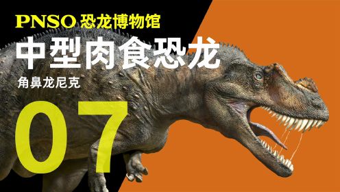 第08集 在大型恐龙的夹缝中生存的角鼻龙 尼克