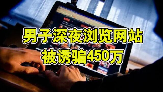 男子深夜浏览网站,被诱骗450万