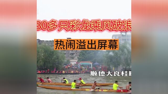 热闹气氛溢出屏幕!顺德大良30多只彩龙在河道乘风破浪!