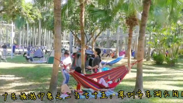 广东旅游印象之二百七十五:深圳市东湖公园1