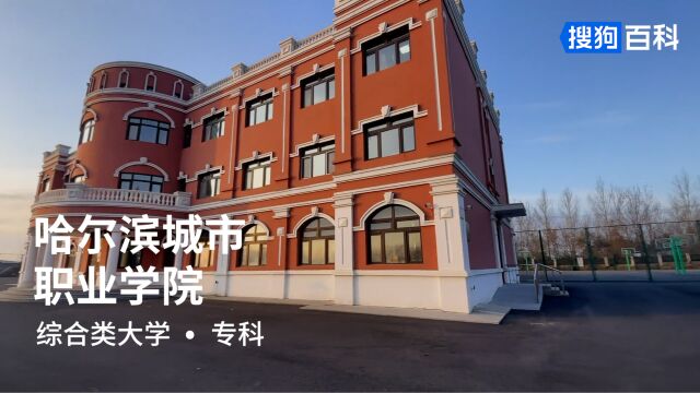 哈尔滨城市职业学院:文明、诚信、勤奋、创新