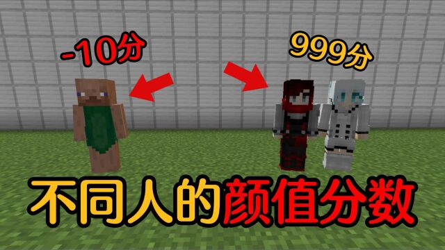 【MC】不同人的颜值分数!居然有人10分成了野人!