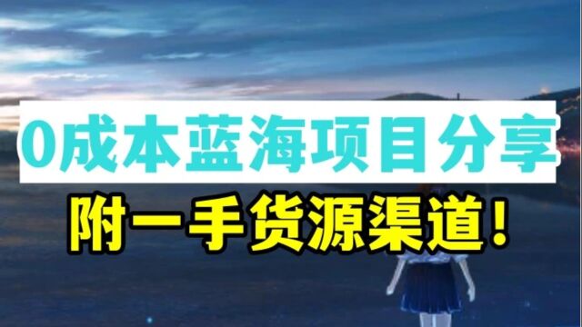 0成本蓝海项目分享,附一手货源渠道!