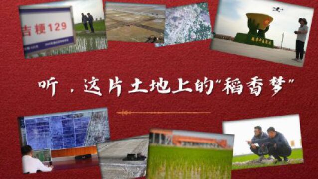 全国土地日|听,这片土地上的“稻香梦”