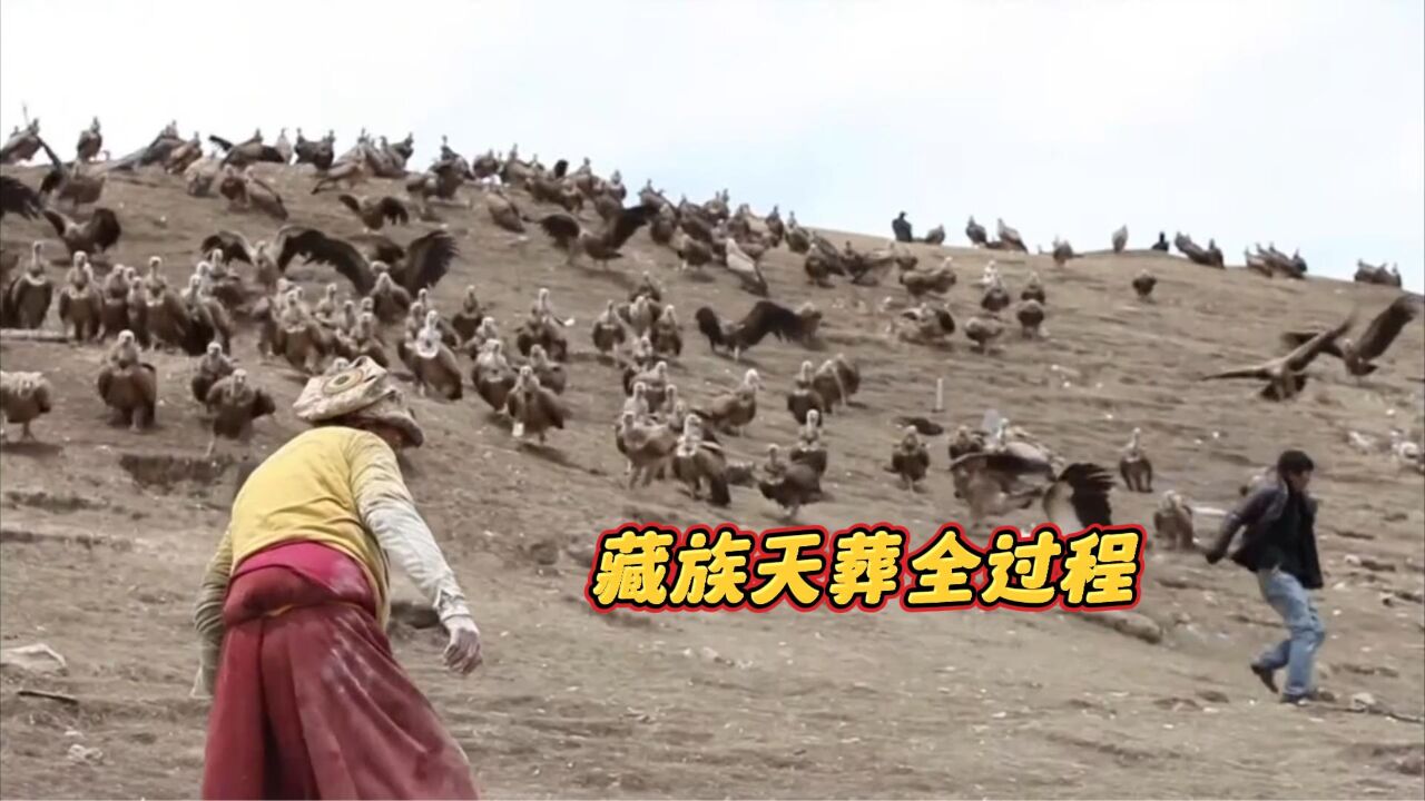 藏族的天葬全过程,在涅槃的路上,回归大自然_高清1080P在线观看平台_腾讯视频