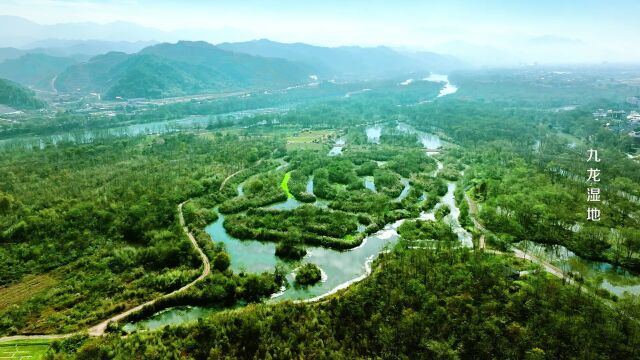 丽水城市宣传片生态篇——浙江“金丽温衢”旅游联合体