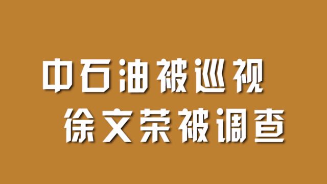 中石油被巡视,徐文荣被调查