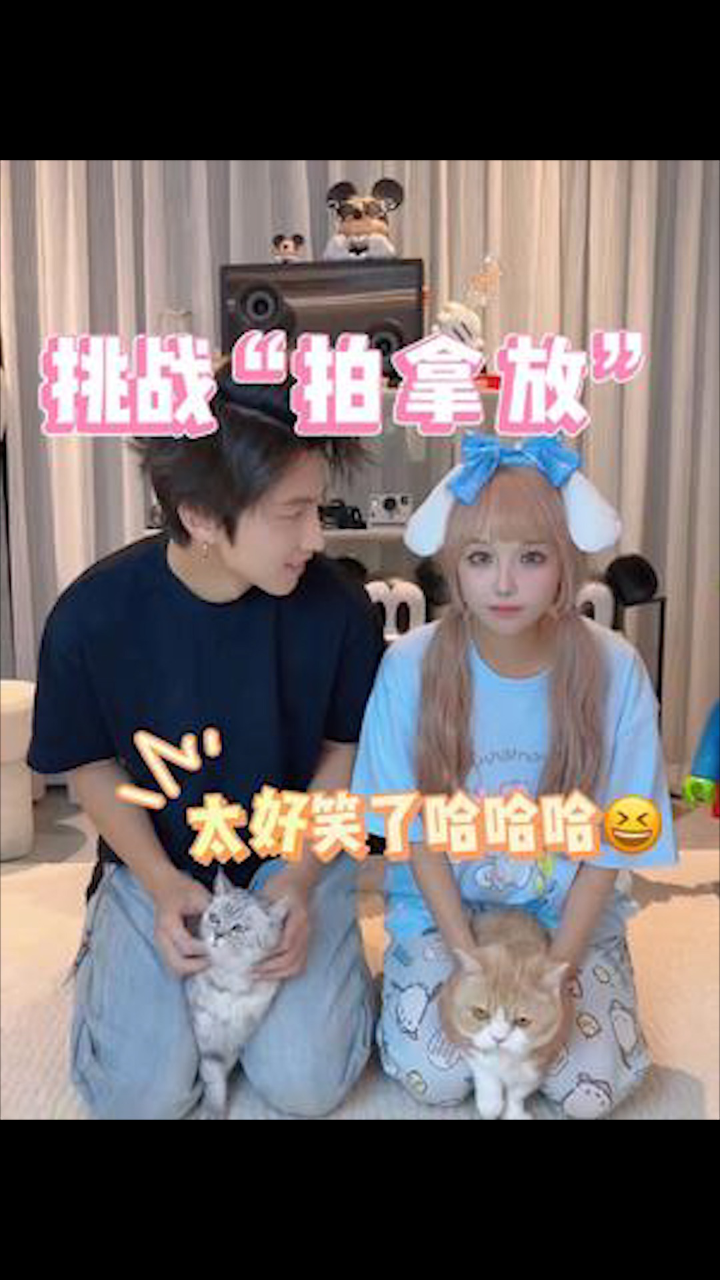 猫咪拍拿放，太好笑了！_高清1080P在线观看平台_腾讯视频