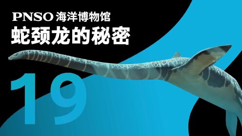 第20集 需要胃石帮助消化的神河龙 安尼塔