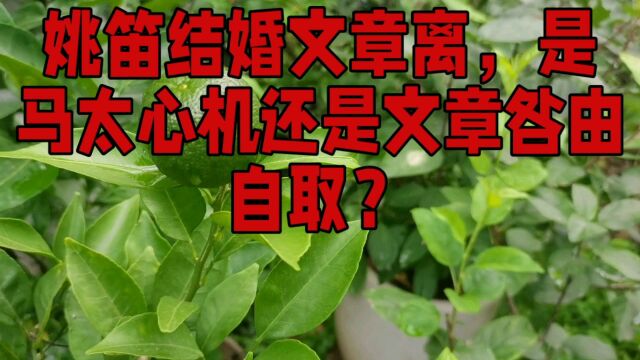 姚笛结婚文章离,是马太心机还是文章咎由自取?