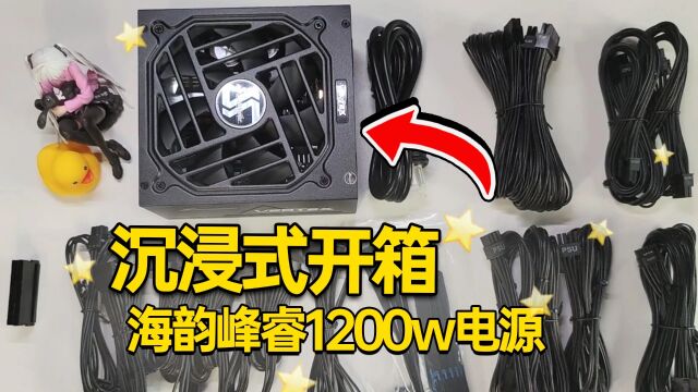 【沉浸式开箱】很舒心的视频!开箱一个新买的海韵峰睿1200w电源~