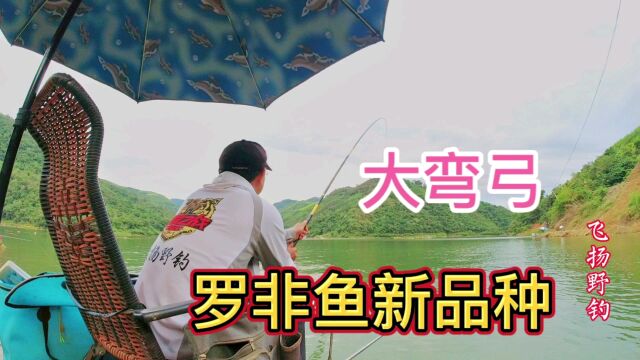 野钓:钓罗非鱼用多重的浮漂?解锁罗非鱼新品种,力道猛手感够爽