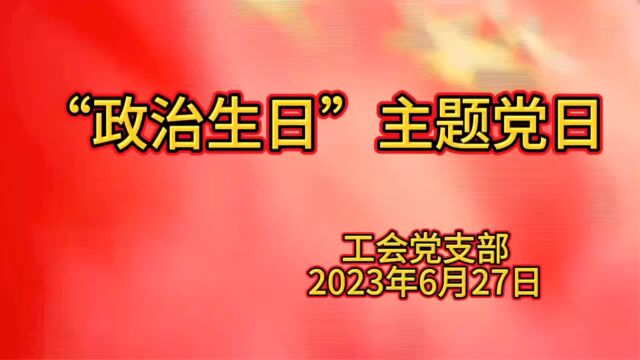 “政治生日”主题党日