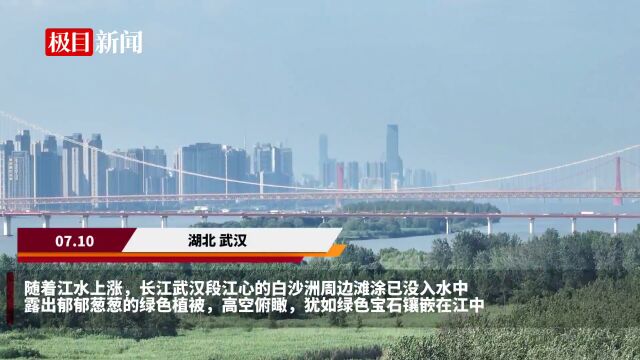 【视频】江水上涨,武汉江心现“绿岛”