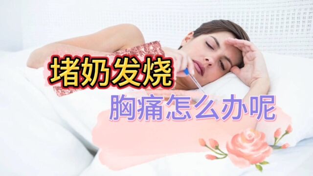 哺乳期堵奶发烧胸痛怎么办呢?