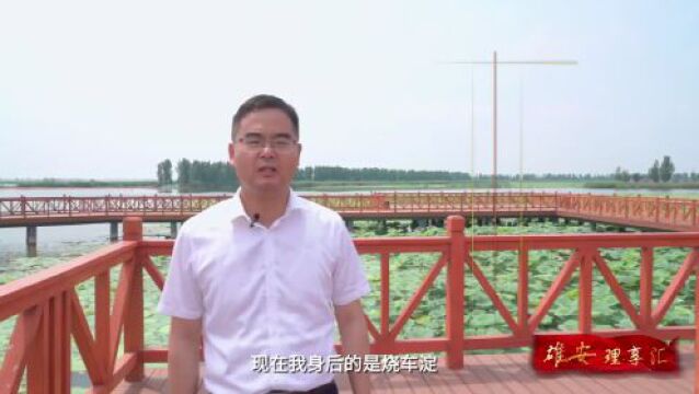 雄安“理”享汇 | 朱晓磊:大力推进生态修复 加快实现“百淀连通”