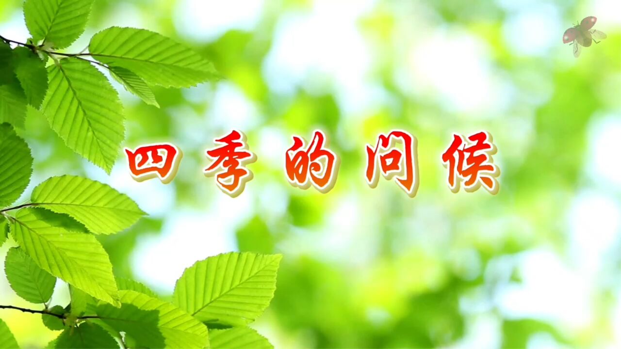四季的问候 合唱版春夏秋冬季节校园舞台演出表演节目大屏幕高清led