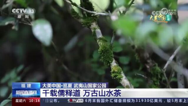 跟随航拍镜头走进武夷山国家公园 看人与自然和谐共生大美画卷