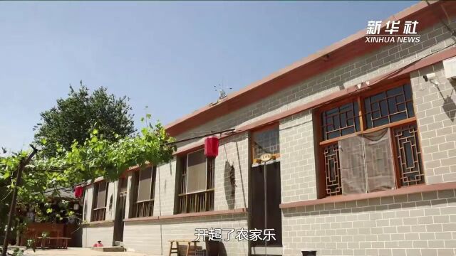 习近平讲述的故事|绿染贺兰山