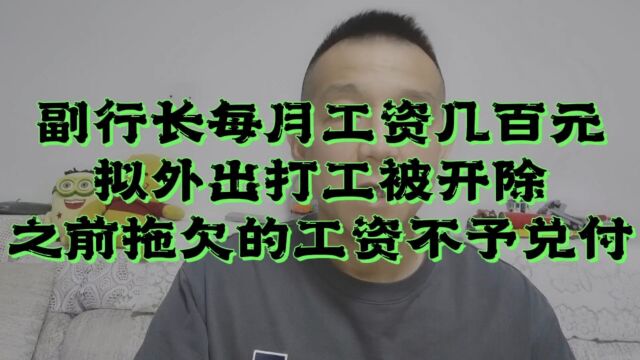 副行长收入仅几百,拟外出打工被开除