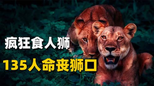 两头雄狮疯狂捕食人类，135人命丧狮口，吓的几千人罢工逃亡