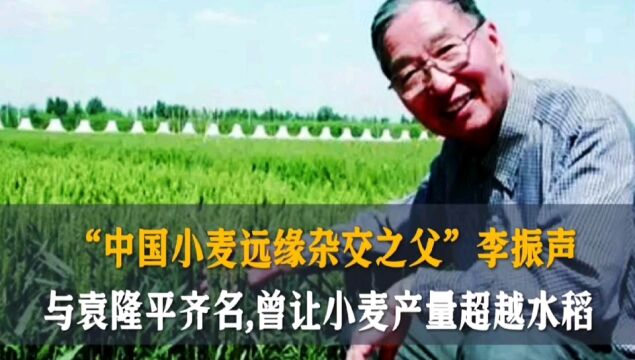 “中国小麦远缘杂交之父”李振声,与袁隆平齐名,曾让小麦产量超越水稻