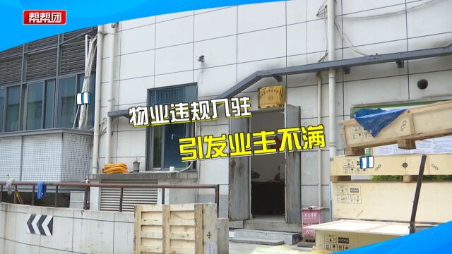 小区管理存乱象 业主质疑物业不作为:未经业主大会投票就入驻