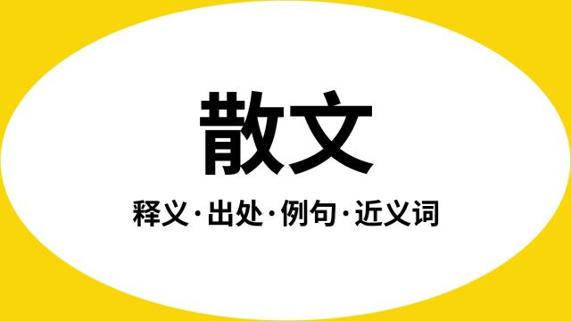 “散文”是什么意思?