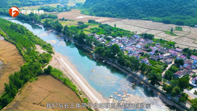 携手远行 览徽州胜境——安徽远行文旅