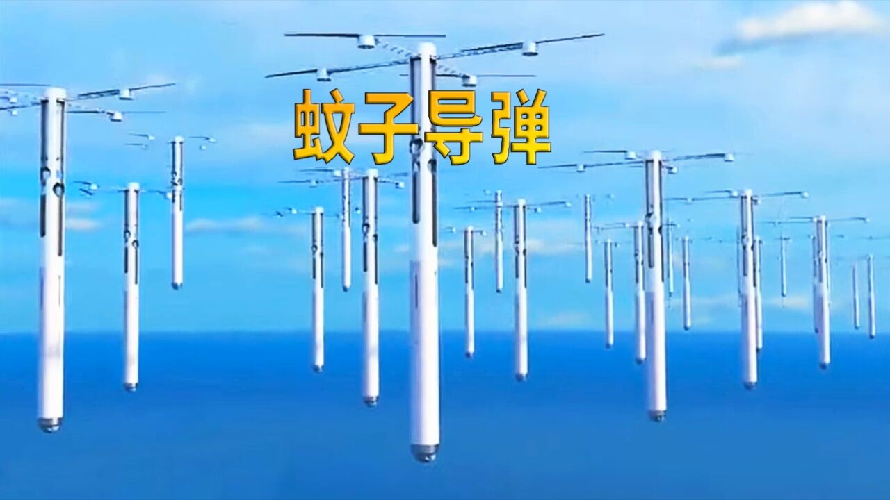 蚊子导弹太厉害了,航母见了都害怕,武器科普