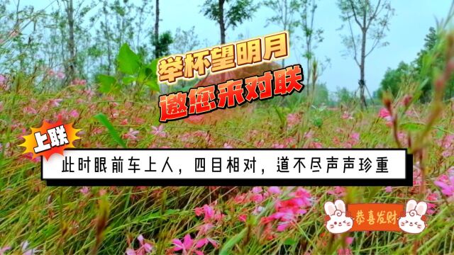 举杯望明月,邀您来对联!上联:此时眼前车上人,四目相对,道不尽声声珍重