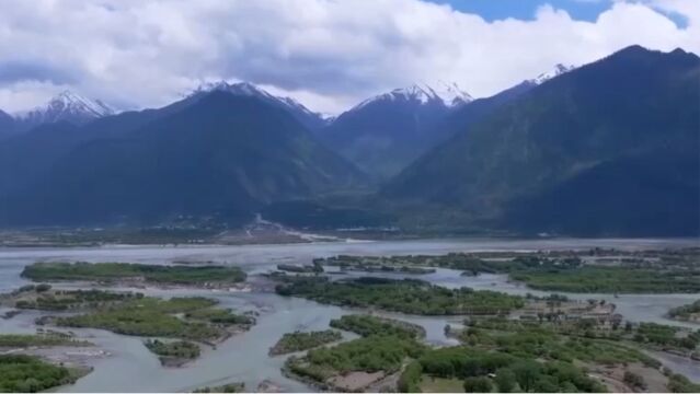 西藏色林错湿地,高原野生动物的家园