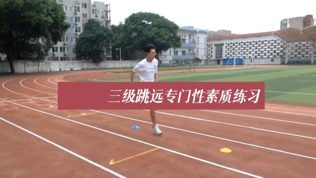 三级跳远专门性素质练习《田径运动教学实践指南》