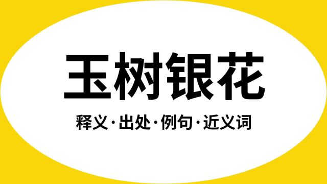 “玉树银花”是什么意思?