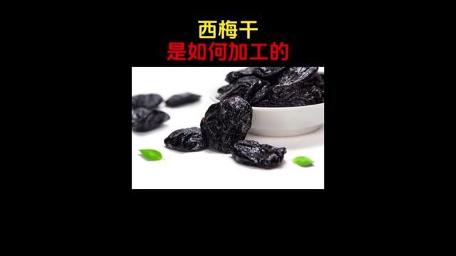 软糯Q弹,酸甜可口的#西梅干 是如何生产加工的!!西梅的采收和加工过程!!#西梅 #果脯 #口感特别好价格实惠