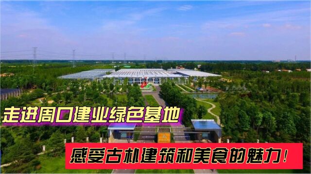 走进周口建业绿色基地,感受古朴建筑和美食的魅力