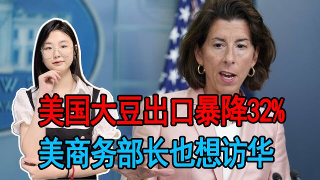 美国大豆出口暴降32%,美商务部长也想访华,美企力劝美政府收手