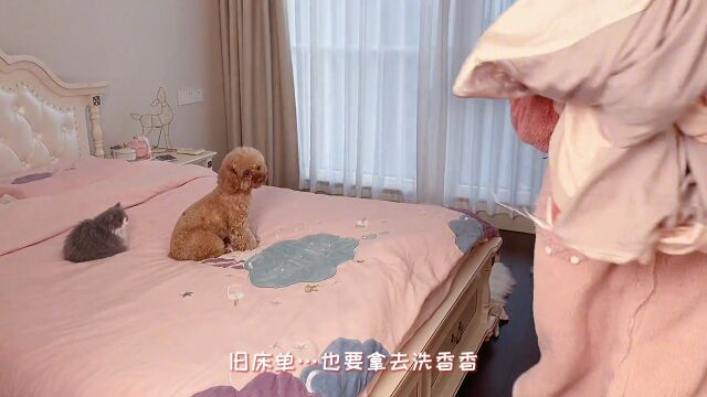 卧室不大,却充满了我的喜怒哀乐,今日收获一片小天地