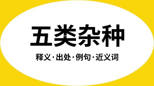 “五类杂种”是什么意思?