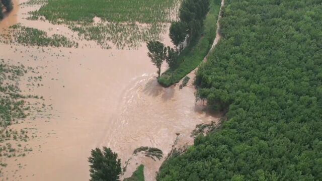 河北暴雨为何如此严重,涿州为何成为泄洪重灾区