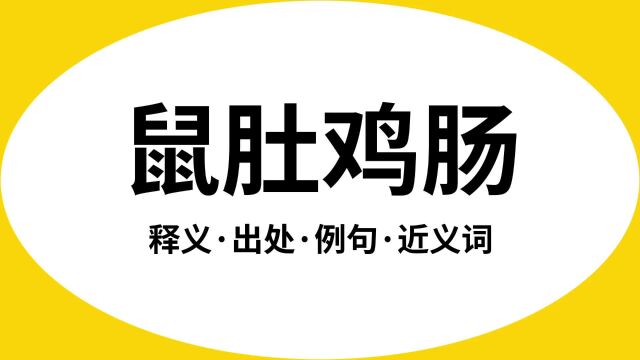 “鼠肚鸡肠”是什么意思?