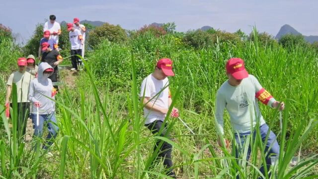 获奖名单公布!他们用镜头讲述广西美丽幸福河湖的动人故事