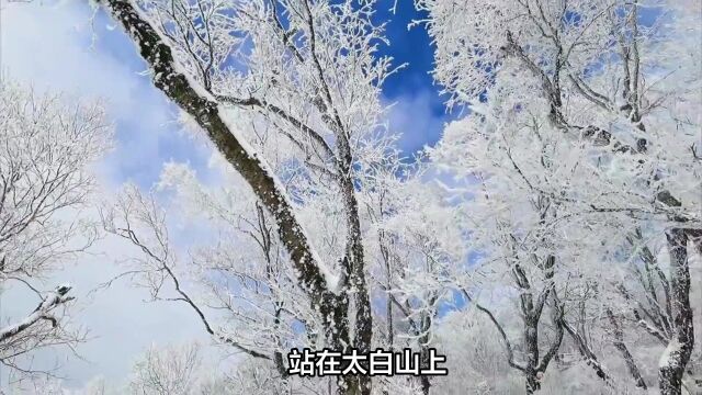 西安冰雪世界大揭秘